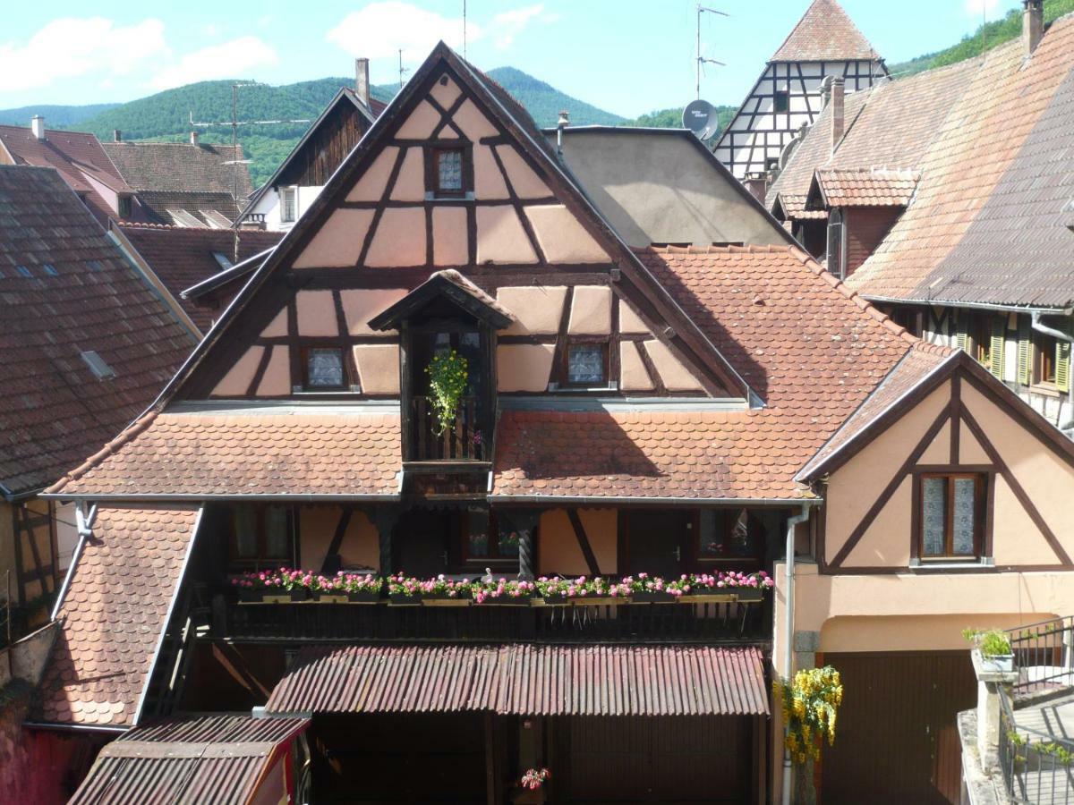 La Cour Des Meuniers - Le Froment Et L'Epeautre Apartamento Kaysersberg-Vignoble Exterior foto